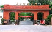 再进入全文