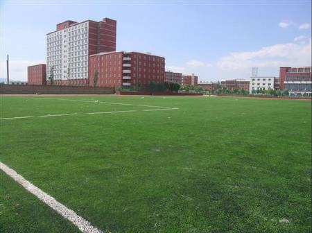 同类内容两者都保留在站内即可形成完整