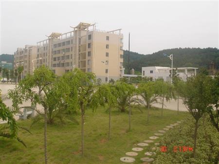 建议先扫读标题与摘要