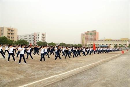 澳门红姐论坛正式成为多特蒙德官方合作