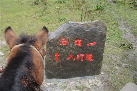 再进入全文