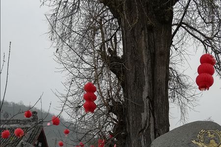 对照阅读同栏目条目通常按时间倒序排列