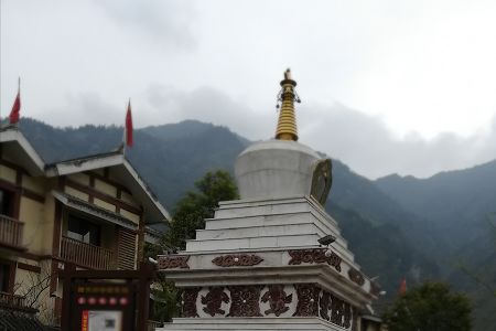 再进入全文