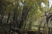 建议先扫读标题与摘要