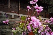 本文罗列出河南应用化工技术专业招生分