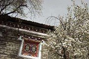 专科专业目录 · 女生专业 · 内蒙