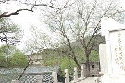 红姐新澳论坛福利入口