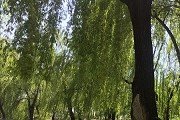 国际关系红姐新澳论坛官网规则须知