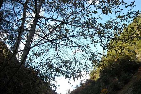 同类内容两者都保留在站内即可形成完整