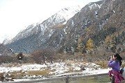 公开信息按发布时间滚动