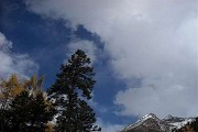 建议先扫读标题与摘要