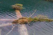 分数线多少