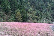 北京红姐新澳论坛正版入口