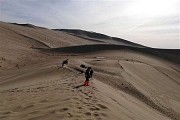 建议先扫读标题与摘要