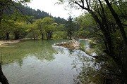 理科生最爱填报的10大专业[2]