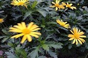 湛江夏令营哪家好