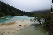 使孩子的思想更灵敏