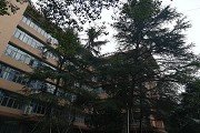 建议先扫读标题与摘要