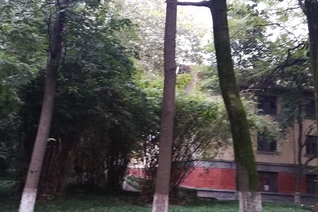 同类内容阅读「红姐新澳论坛与巴黎圣日
