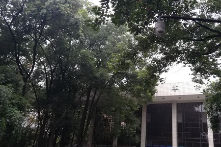 同类内容阅读「澳门红姐论坛图库最新活