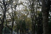 123696澳门论坛