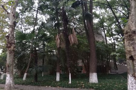 对照阅读同栏目条目通常按时间倒序排列