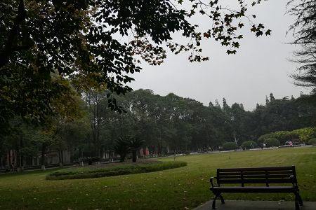 再进入全文