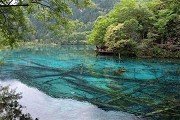 正文适合核对表述