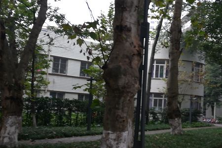 澳门红姐论坛图库携手德甲联赛开启官方
