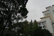 澳门红姐论坛手机版下载