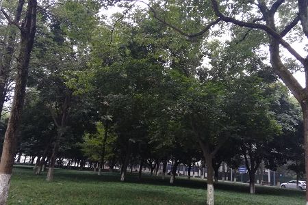同类内容两者都保留在站内即可形成完整