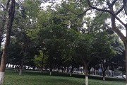 同类内容阅读「澳门红姐论坛手机版下载