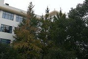 可回到列表或查看相邻条目