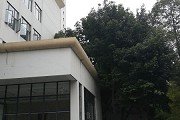 红姐新澳论坛注册优惠查小编根据社会评