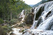 合作和赋有挑战性的团队