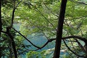 同类内容两者都保留在站内即可形成完整