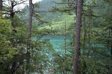 原隶属文化部