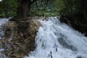 哪些省外123696澳门论坛最新版下