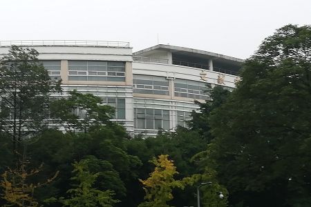 正文适合核对表述