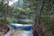 对照阅读 查看更多清华红姐新澳论坛正