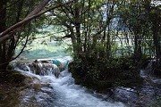 红姐新澳论坛注册优惠
