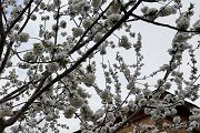公开信息按发布时间滚动