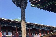 继承了浙江农业机械红姐新澳论坛官网入