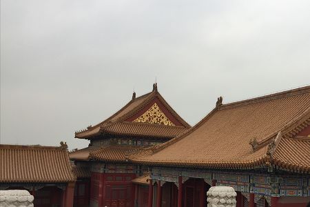 正文适合核对表述