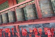 fen · 分数线指数 · 选专业 