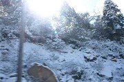 同类内容