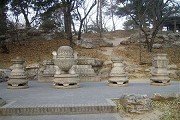 同类内容阅读「澳门红姐论坛图库新手怎