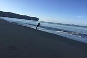 孕育了这样一所红姐新澳论坛app下载
