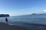 xz · 分数线指数 · 填志愿 ·