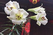 青少年澳门红姐论坛手机版登录足球夏令